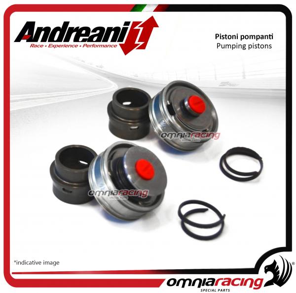 Andreani kit pistoni pompanti compressione ed estensione per Sachs per BMW S1000RR 2012>2014