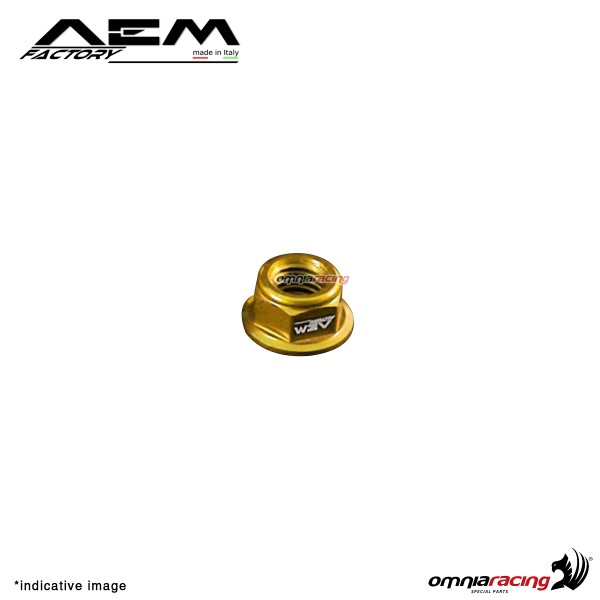 AEM M10 hex nuts pepita gold for