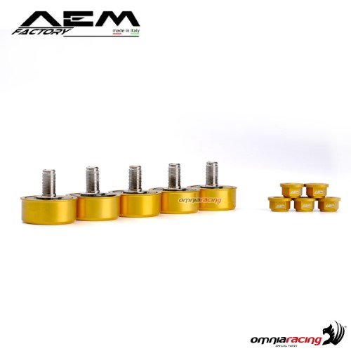 Parastrappi AEM in titanio oro pepita per Ducati Monster S4RS