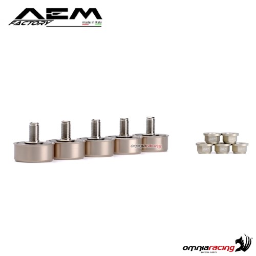 Parastrappi AEM in titanio grigio titanio per Ducati Hypermotard 796/950/950SP