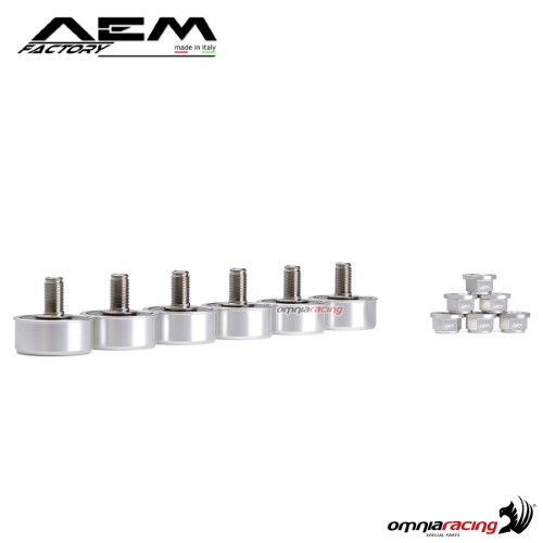Parastrappi AEM in titanio argento iridio per Ducati Panigale V4/S