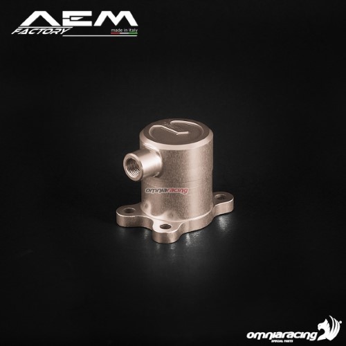 Aem Clutch Slave Cylinder Titanium Grey for Ducati Streetfighter