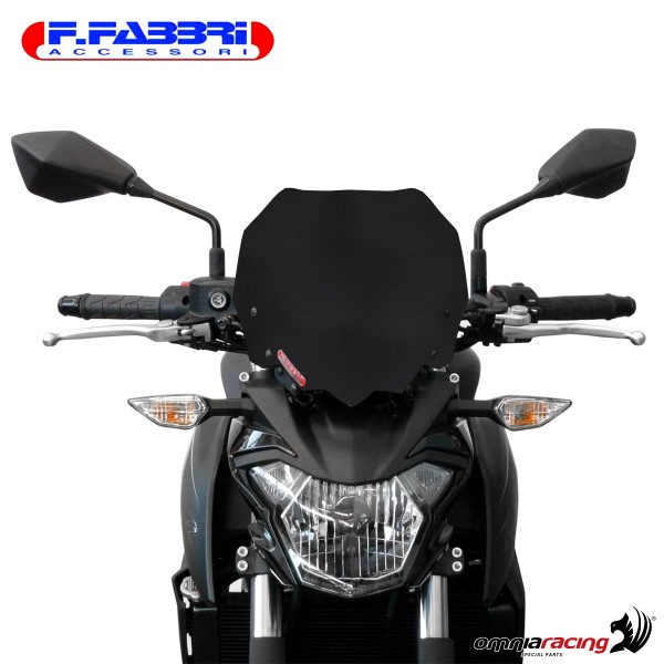 Cupolino nero bisatinato Sport/Naked/Touring Fabbri per Kawasaki Z650 2017