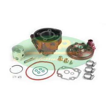Top Performances cast iron cylinder kit D.47 H2O Racing Benelli 491 Sport 50 1998-1999