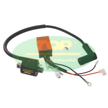 Centralina Top Performances anticipo variabile Gilera DNA 50 2000-2002