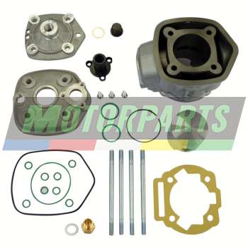 Top Performances cast iron cylinder kit D.50 Derbi GPR50R/ Replica 2008