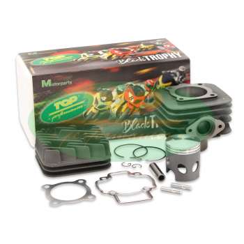 Top Performances cast iron cylinder kit D.48 Aprilia Mojito 50 Custom Piaggio Engine 2004-2010