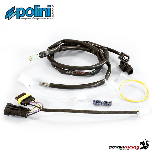 Cablaggio centralina elettronica Polini per Piaggio Liberty 125 iGET 3V ie E4
