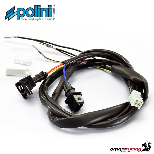 Cablaggio centralina elettronica Polini per Vespa 125 Primavera 3V ie M811M