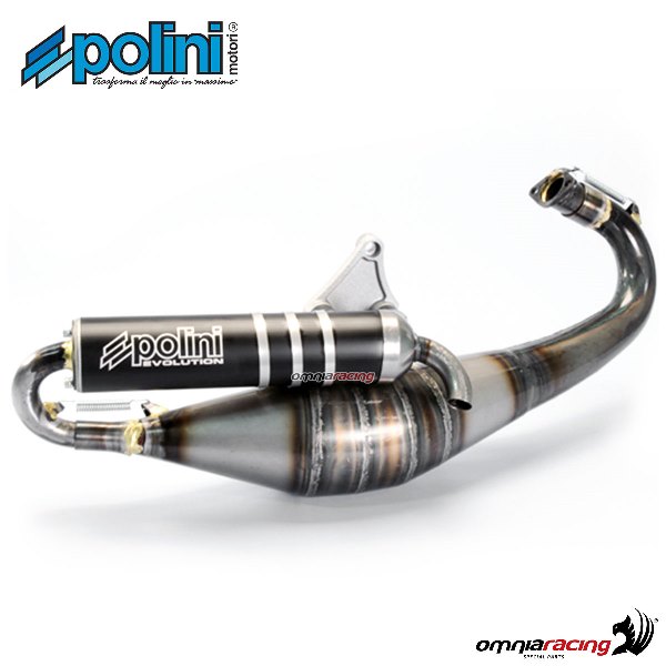 Marmitta completa Polini evolution 11 per Piaggio Zip 50 2T raffreddato ad  aria