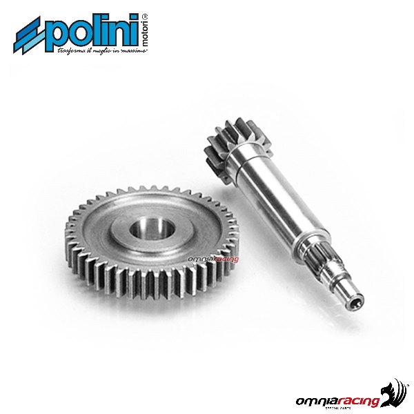 Ingranaggio primario Polini dentatura Z=14-43 per Yamaha CT50