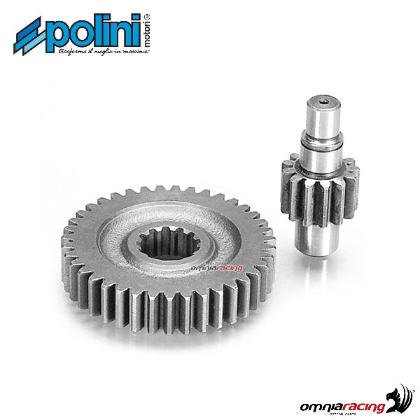 Ingranaggio secondario Polini dentatura Z=14-40 per Suzuki AP50