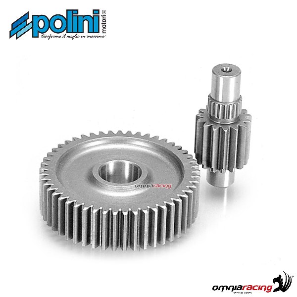 Ingranaggio secondario Polini dentatura Z=15-49 per Honda Sport SFX50