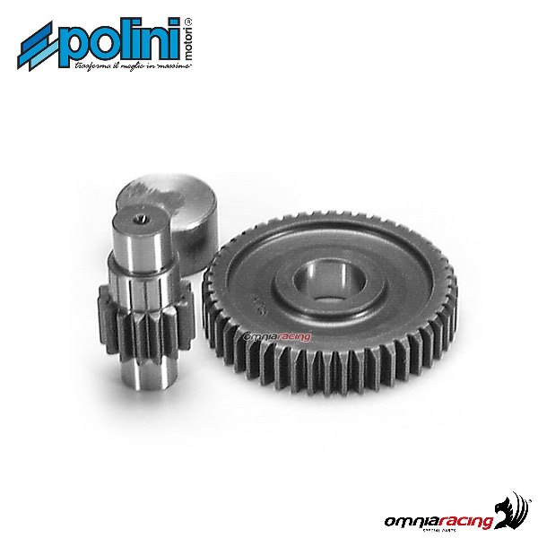 Ingranaggio secondario Polini dentatura Z=15-48 per Cagiva Progress 50