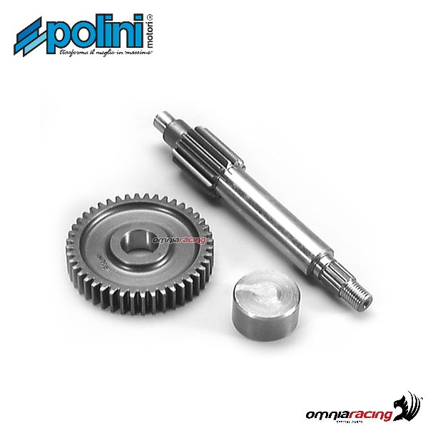 Polini Primary Gear Z 13-44 for Yamaha Jog 50RR 2T - 202 1370 - 202 1370 - Variator - Transmission