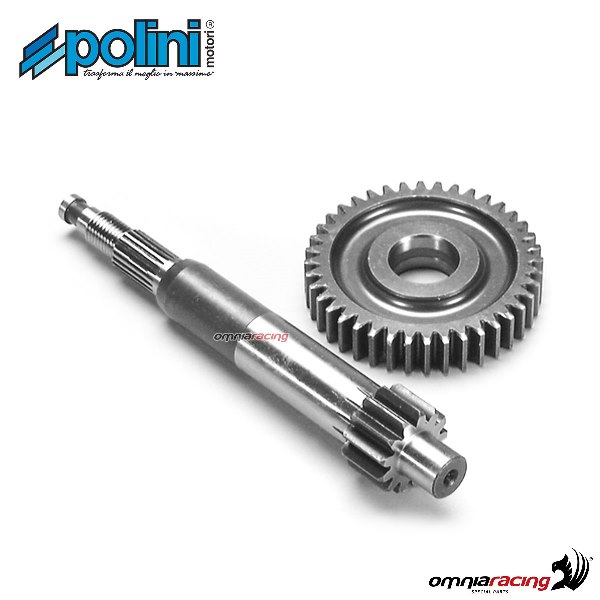 Polini primary gear Z=13-40 for Piaggio Extrem 50 2T