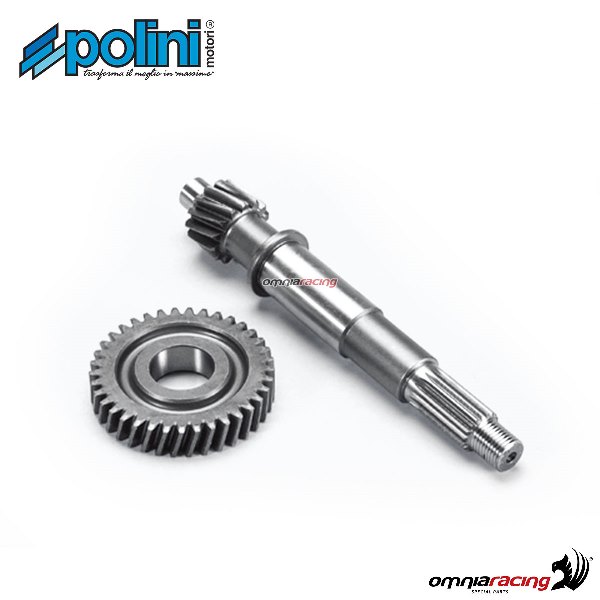 Set ingranaggi Polini Z=14-37 per Kymco Dink 125