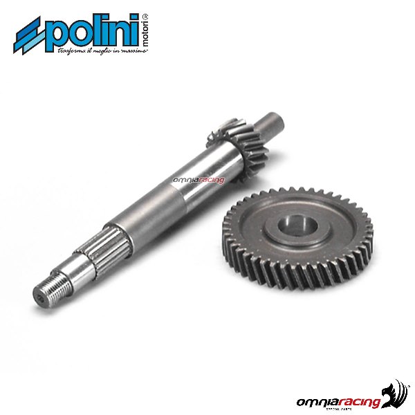 Ingranaggio primario Polini Z=17-44 per Vespa 125/150 ET4 Leader