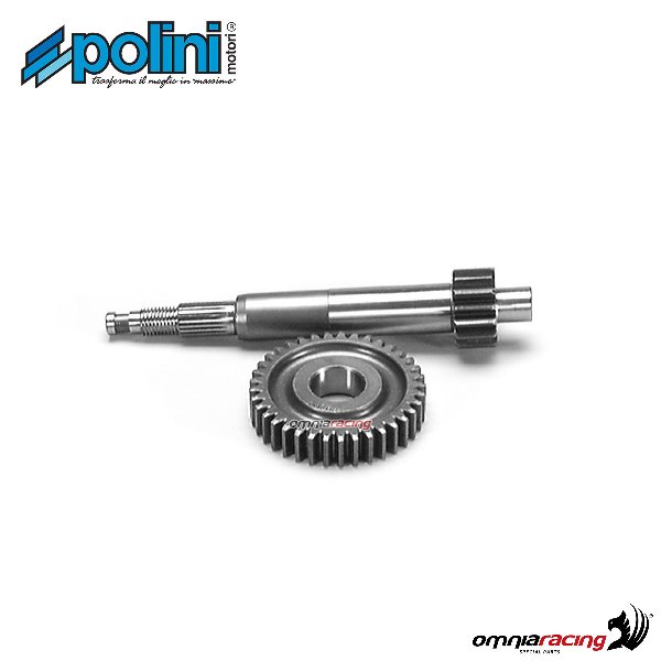Ingranaggio primario Polini dentatura Z=16-37 mod.2000 per Piaggio Zip 50 2000