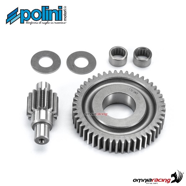 Ingranaggio secondario Polini dentatura Z=14-48 Cuscinetto mod.99 per Piaggio Zip 50 2V
