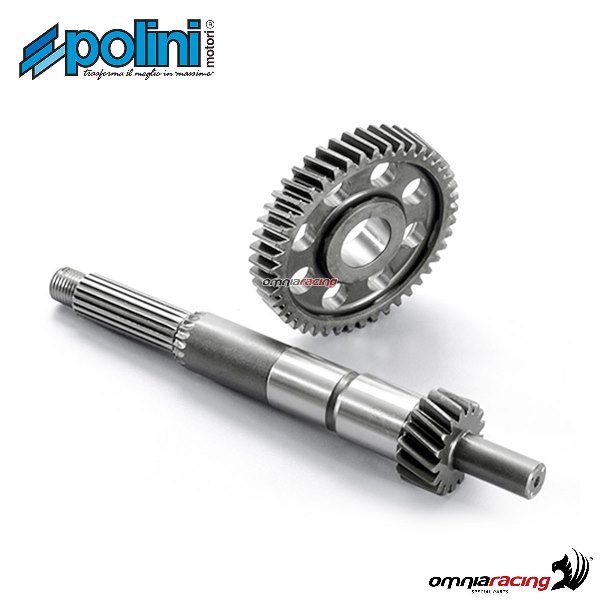 Ingranaggio primario Polini Z=17-45 per Piaggio Liberty 125 3V ie 2013>