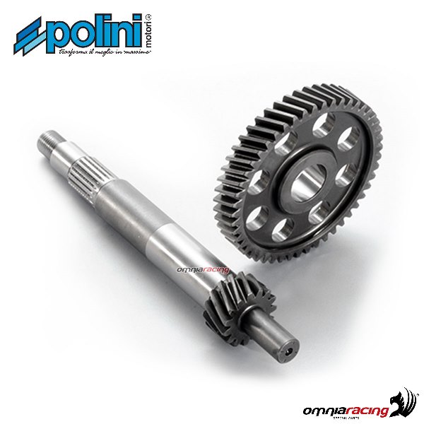 Ingranaggio primario Polini Z=15-49 per Aprilia Sportcity 125