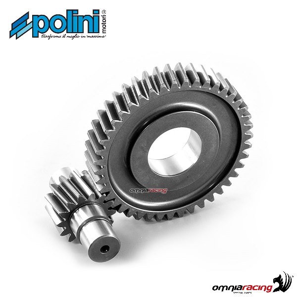 Ingranaggio secondario Polini dentatura Z=14-43 per Piaggio Liberty 50 Iget 3V ie E3 (C541M)