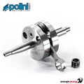 Albero motore Polini per Minarelli 50 AM3/AM4/AM5/AM6 2T