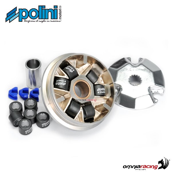 Variatore Polini per Fantic Bid Wheel 50 2T raffreddato ad aria