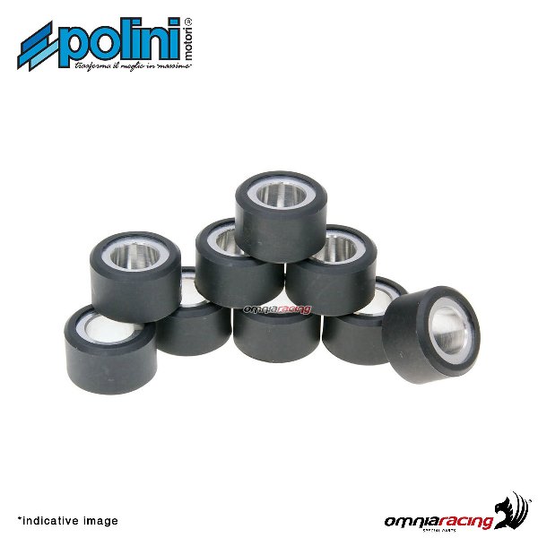 Polini rollers transmissions spare parts 16x13 4,9 gr for Honda SGX50 Sky 2T
