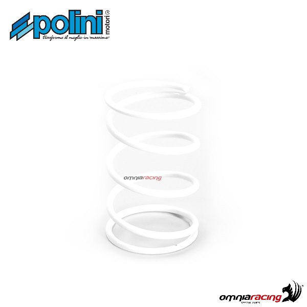 Polini variator contrast spring for Honda Dio 50SP/SR 2T air cooled