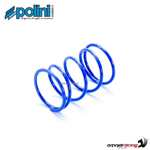 Polini variator contrast spring for Honda Zoomer 50 4T water cooled