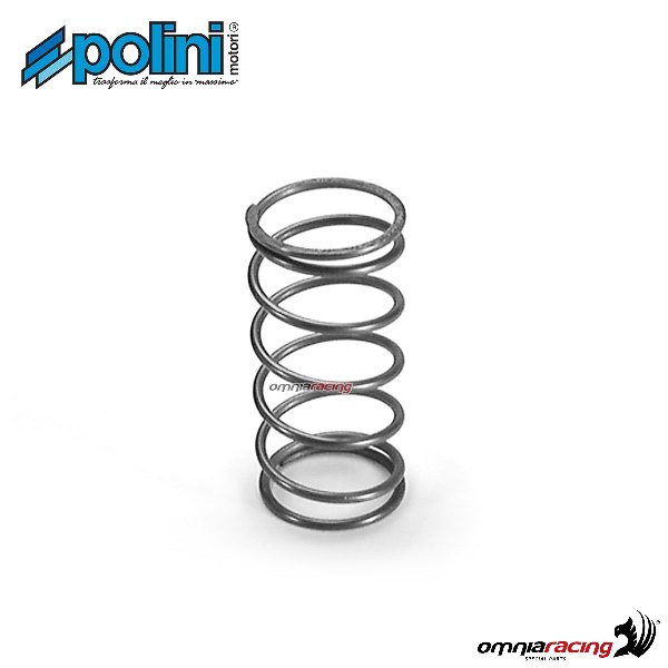 Molla di contrasto variatori Polini per Atla Byte 50 At10 2T raffreddato ad aria