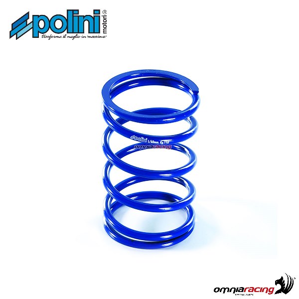 Molle di contrasto Polini per Honda Silver Wing 600