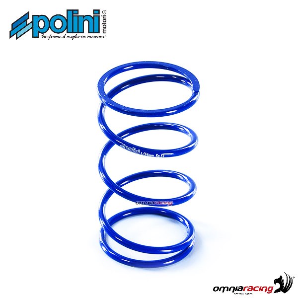 Molle di contrasto Polini per SYM Citycom 300