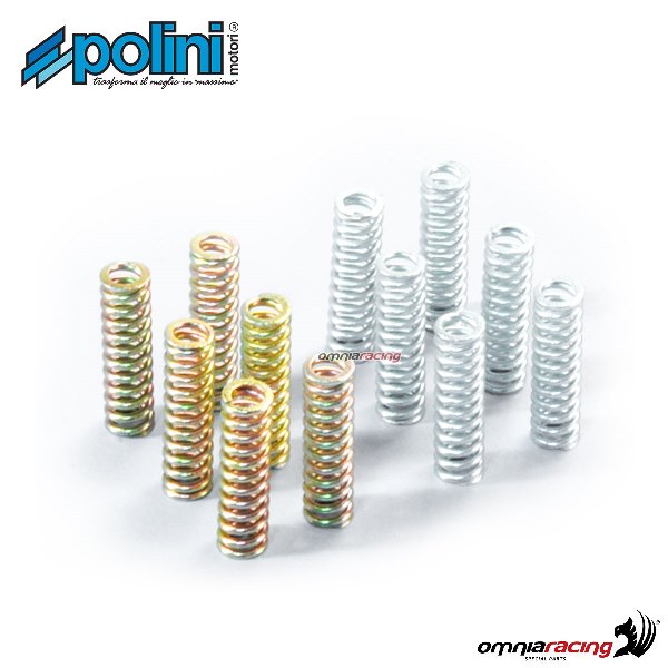 Polini clutch spring set D. 1,25/D.1,30 for Yamaha Tmax 500 injection 2008>2011