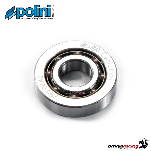 Polini evolution crankcase bearing for Piaggio Free 50 2T air cooled