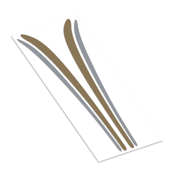 Adesivo Oro & Silver Kawasaki Z900RS 2017-2025