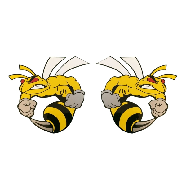 Adesivi Style 2 Honda Hornet Graphic