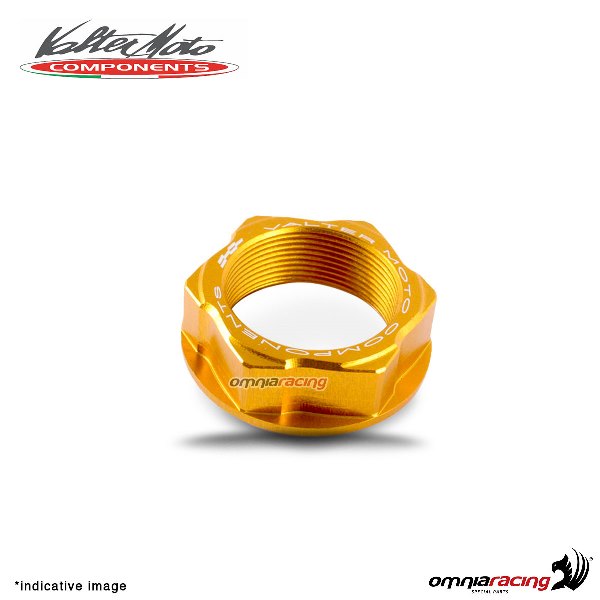 Dado Valtermoto per cannotto di sterzo ergal oro per Triumph Street Triple 2007>2016