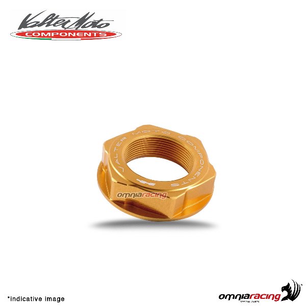 Dado Valtermoto per cannotto di sterzo ergal oro per Honda CBR600RR 2003>2015