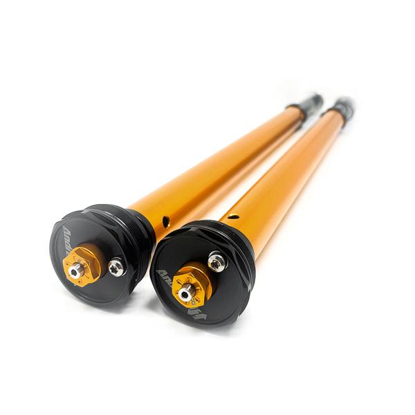 Andreani Misano Evo2 fork cartridges Honda CRF300L 2021-2025