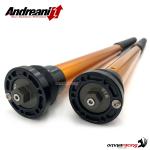 Cartucce forcella Andreani Rally Race bassa -20mm BMW R12G/S 2025-2026