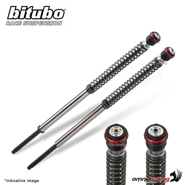 Adjustable JBH1 Bitubo fork cartridge Harley Davidson FLTRXSE Road Glide CVO 2017-2020
