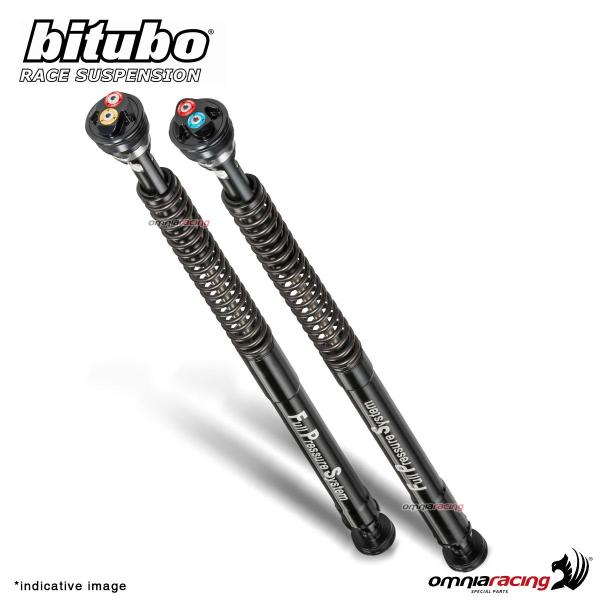 Adjustable EBH0 pressurized Bitubo cartridge Triumph Street Triple 765RS MOTO2 2022-2024