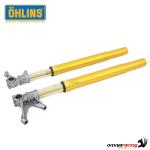 Complete Ohlins Gold Fork for Ducati Panigale V4 2025