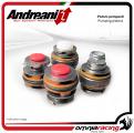 Andreani kit pistoni pompanti compressione ed estensione per Sachs per Aprilia Tuono V4R 2011>2012
