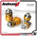 Andreani kit pistoni pompanti compressione ed estensione per Honda CB1000R 2008>2017