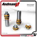 Andreani kit pistoni pompanti compressione ed estensione per Kawasaki Z750 2007>2011