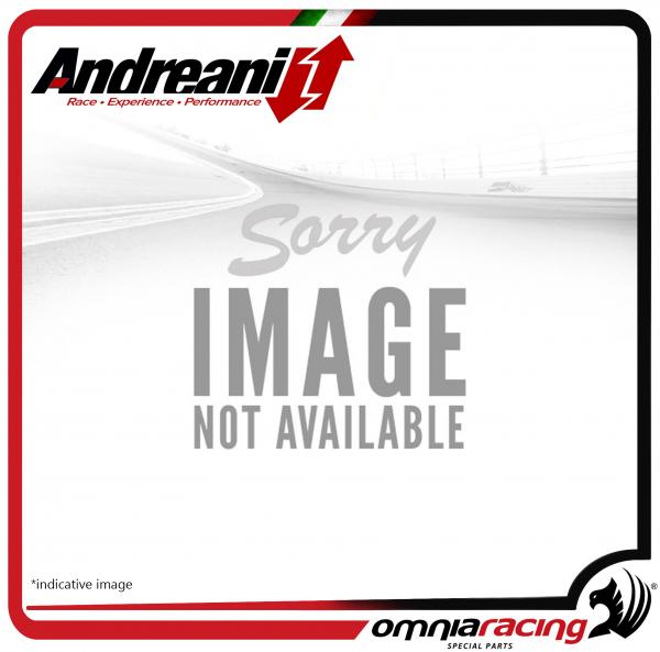 Andreani modification kit against springs for spring Suzuki GSXR1000R 2017>